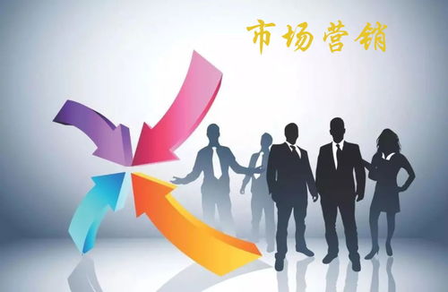 食品互联网销售在市场经济中的营销功能分析